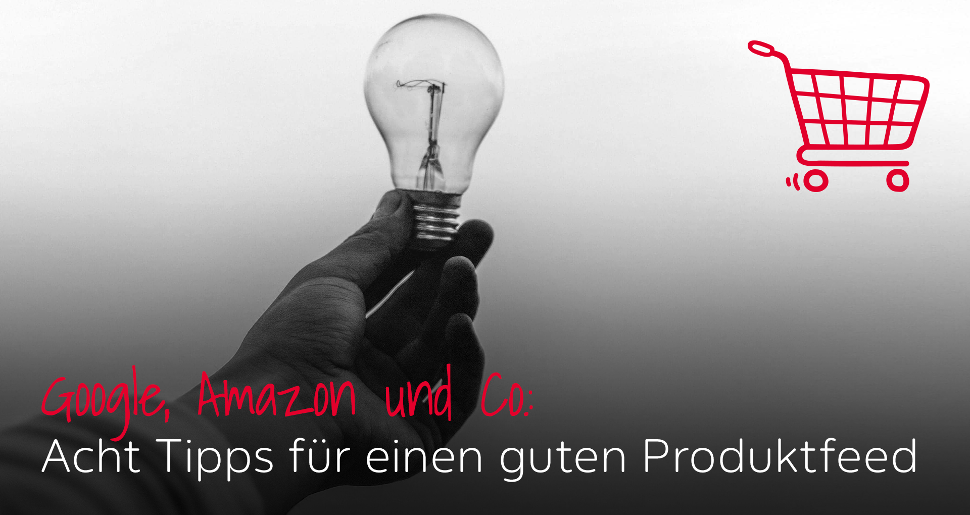 Cover_2020-12_Acht_Tipps_Produktfeed